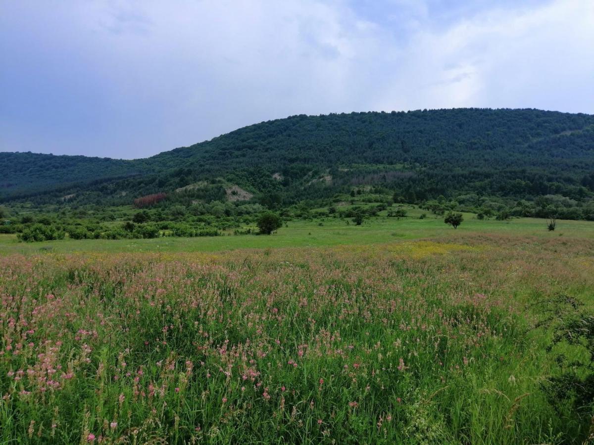 Etno Kuca Nikolov Villa Dimitrovgrad Luaran gambar
